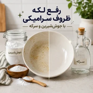 ظروف سرامیکی تمیز و براق روی میز آشپزخانه